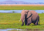 开云体育直播-纳米比亚球员因精神压力宣布退役