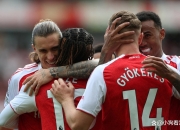 开云体育在线-阿森纳客场告捷，出线希望增加