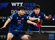 开云体育下载-关于日本乒乓球队鏖战韩国乒乓球队，张继科爆发神勇的信息