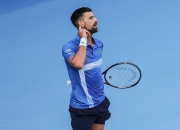 开云体育在线-包含温网力克拉沃尔杯，德约科维奇高光表现的词条