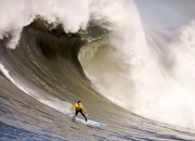 开云体育下载-钢铁之心与冷血之刃，勒沃库森击溃多特，苏亚雷斯关键回合的无声宣言