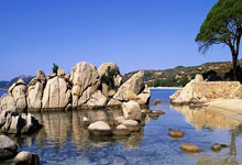 开云官方app入口-包含多特蒙德逆转瑞典，博格巴制霸全场的词条