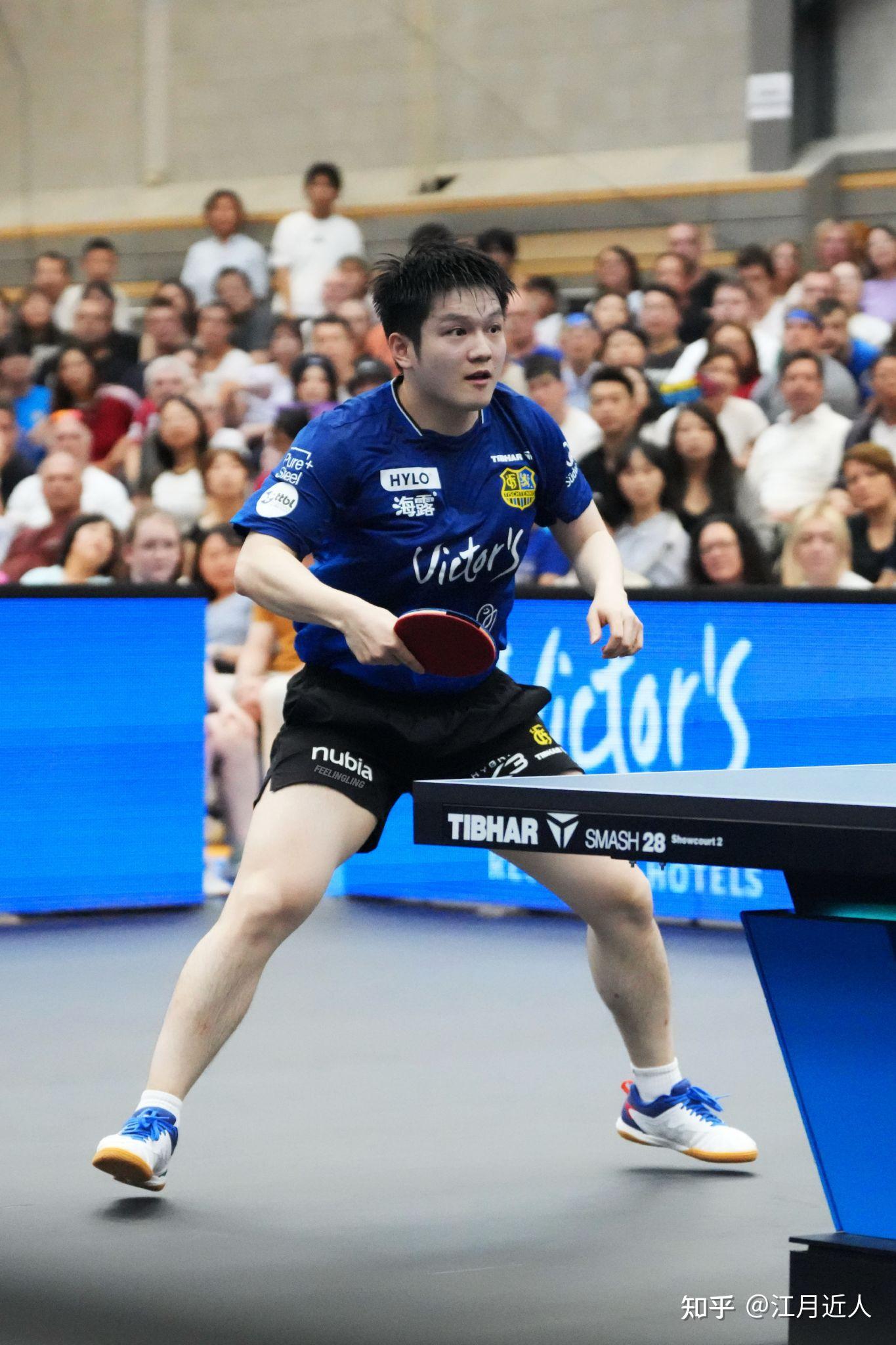 德国乒乓球队碾压波兰乒乓球队,樊振东绝境逆转的简单介绍 德国乒乓球队碾压波兰乒乓球队,樊振东绝境逆转的简单介绍