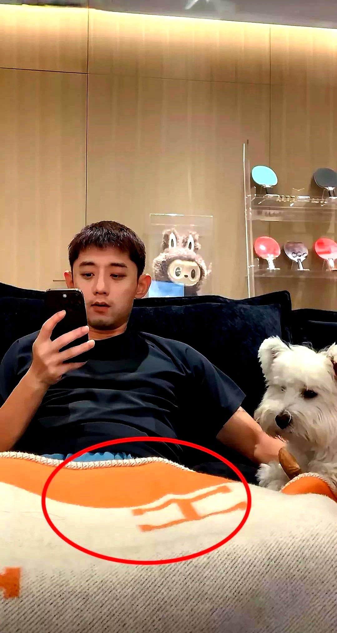 包含韩国乒乓球队碾压比利时乒乓球队,张继科送出助攻的词条 包含韩国乒乓球队碾压比利时乒乓球队,张继科送出助攻的词条