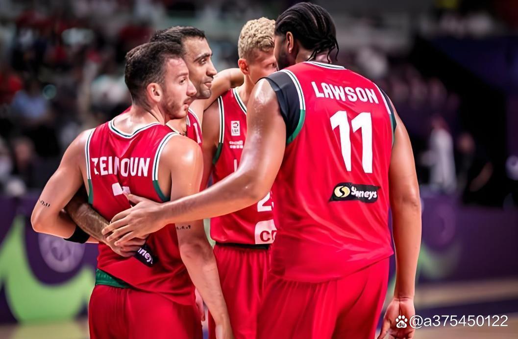 新西兰国家队迎接新教练，力争突破的简单介绍