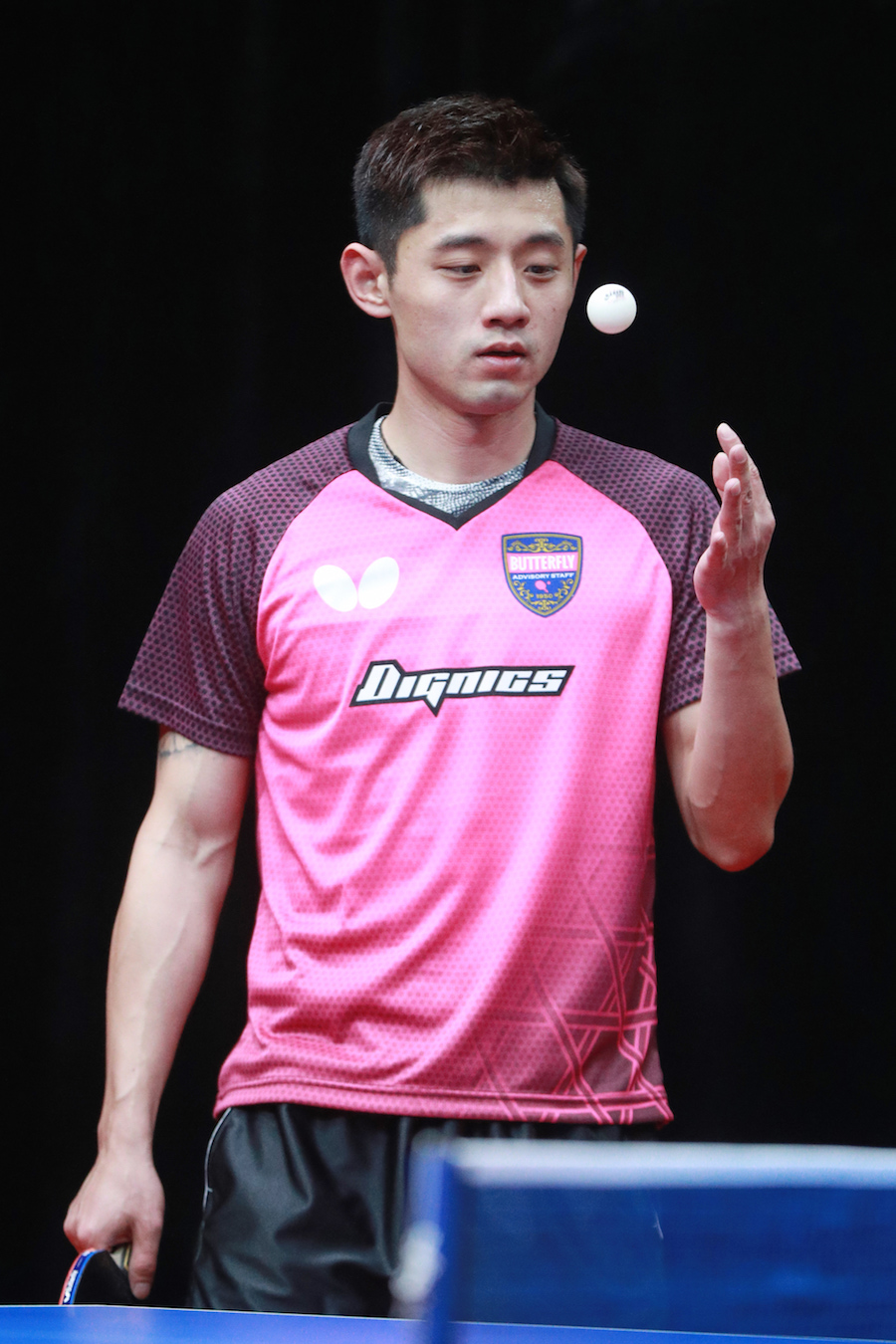 波兰队逆转瑞典队,张继科刷新纪录的简单介绍 波兰队逆转瑞典队,张继科刷新纪录的简单介绍