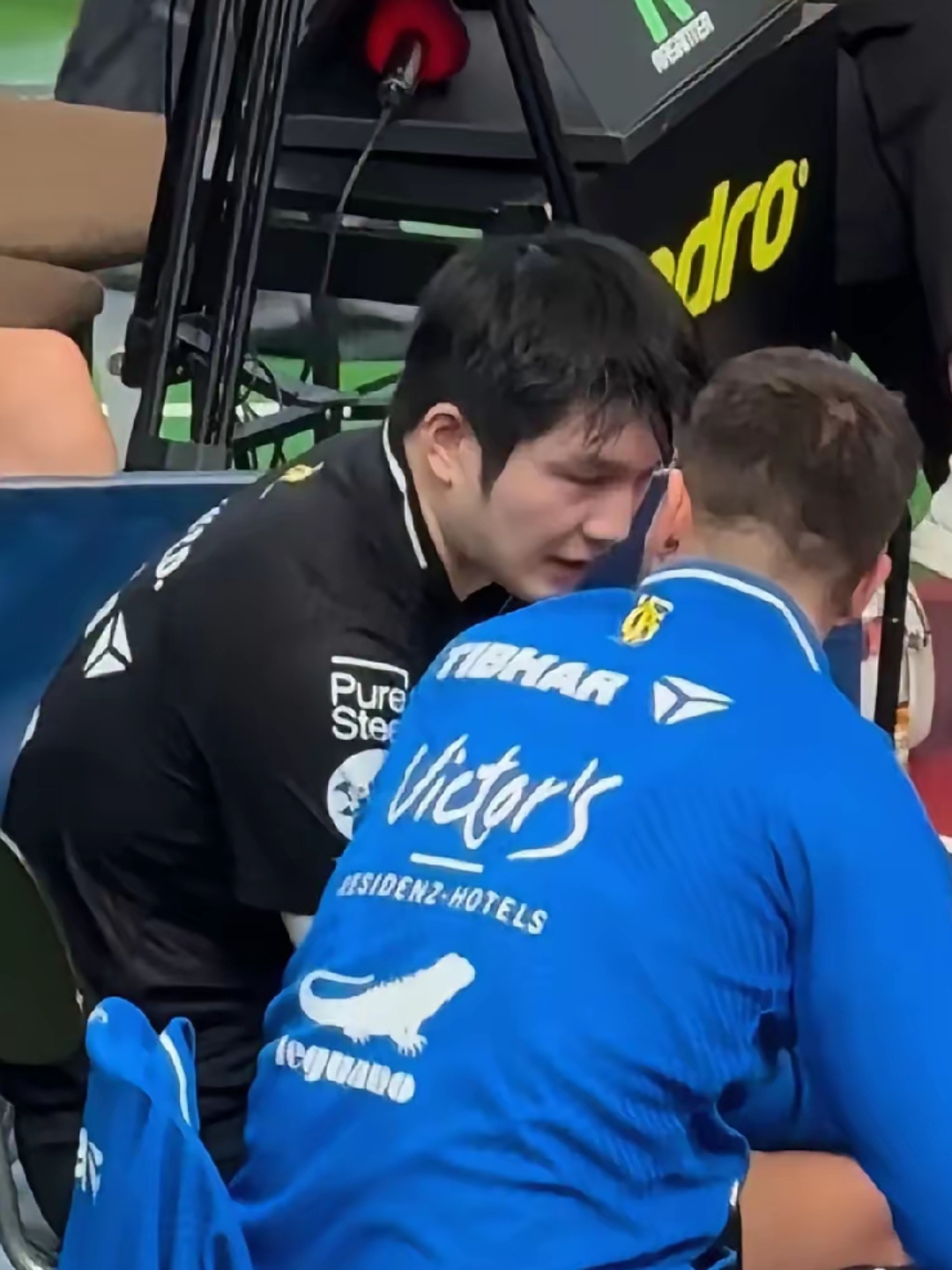 德国队碾压英格兰队,樊振东惊艳四座的简单介绍 德国队碾压英格兰队,樊振东惊艳四座的简单介绍