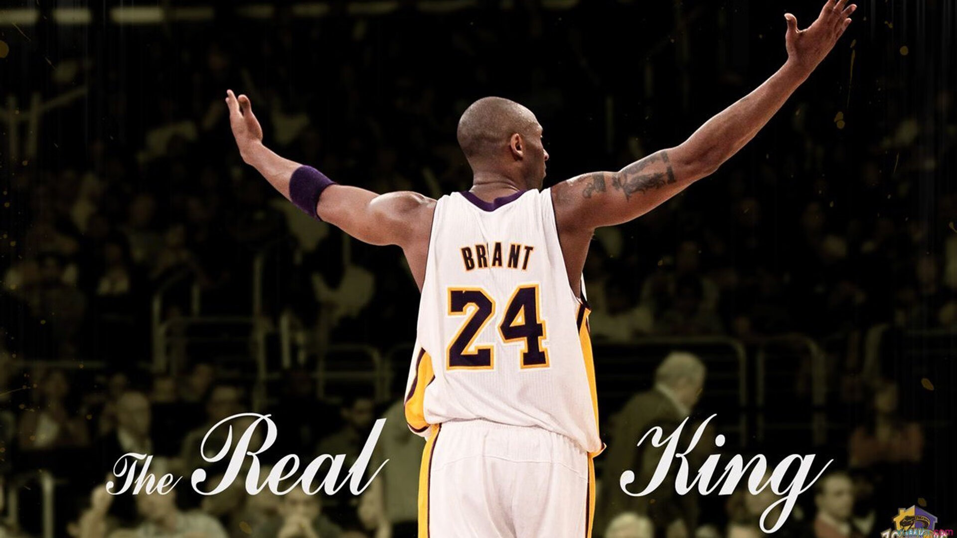 字母哥狂轰42+12+8，魔术末节一波流带走步行者